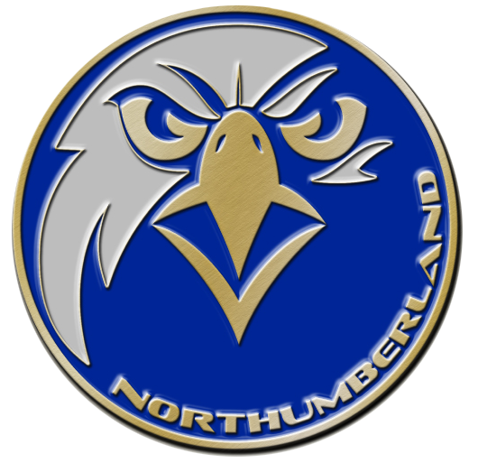 Northumberland Nighthawks Select Round-up Tournament Logo