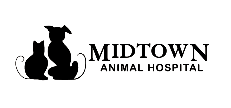 Midtown Animal Hospital