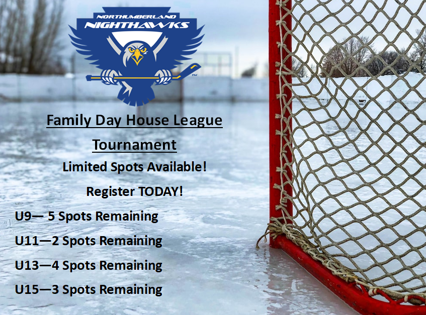 Family_Day_HL_Tournament_flyer_1.png